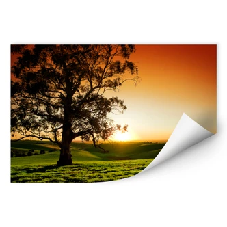 Wallprint - Sonnenuntergang über den Hügeln 