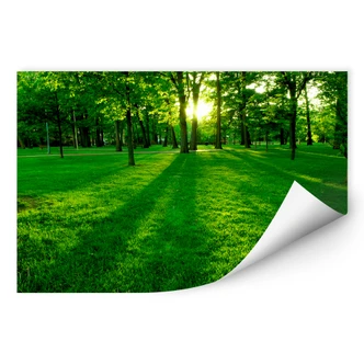 Wallprint - Park im Grünen 