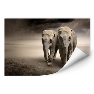 Wallprint - Die Elefanten 