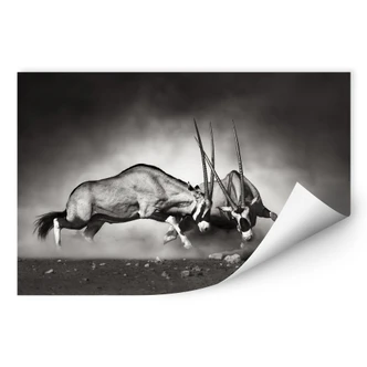 Wallprint W - Das Duell 