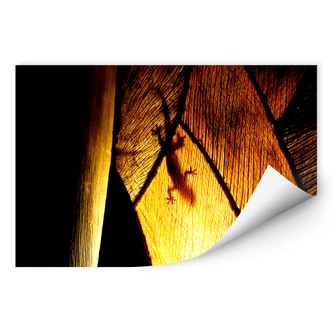 Wallprint W - Schattenspiel 