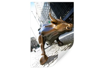 Wallprint - The Charging Bull 