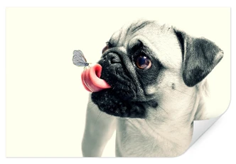 Wallprint W - Tierische Zuneigung 