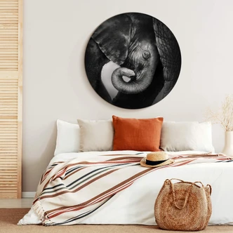 Alu-Dibond rond - Olifantenbaby 