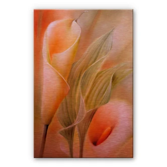 Alu-Dibond koper effect - Schmucker - Callas 