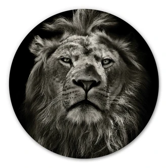 Alu-Dibond rond - Leeuw 