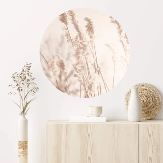 Naklejka na ścianę Trawy w słońcu - Okrągła Naklejka na ścianę Trawy w słońcu - Okrągła
