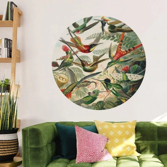 Muursticker Haeckel - Kolibries 