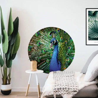 Zelfklevende Muurcirkel Pauw Zelfklevende Muurcirkel Pauw