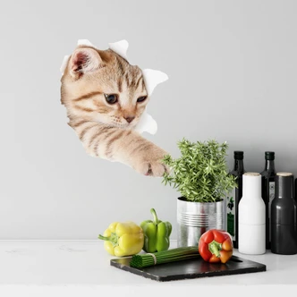 Muursticker Kat op Ontdekkingstocht 