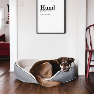 Poster Grammatik - Hund 