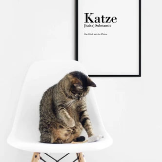 Poster Grammatik - Katze 