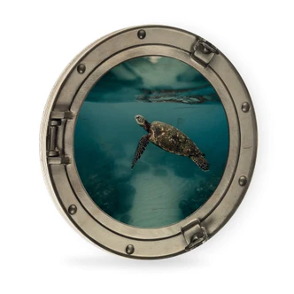 Holzbild 3D-Optik Bullauge - Schildkröte seitlich - Rund 