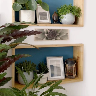 Targa in legno - Agave 01 