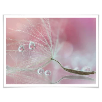 Poster Barbieri - Two of us - Pusteblume 