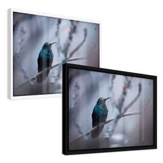 Poster Bravien - Electrical Blue Poster Bravien - Electrical Blue