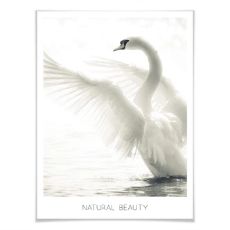 Poster Natural Beauty 