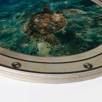 Stampa su legno 3D Tartaruga 