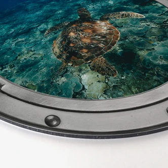 Alu-Dibond effetto 3D - Tartaruga - tondo 