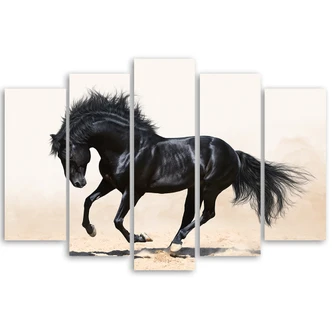 Leinwandbild 5 teilig, Galopp des schwarzen Pferdes 