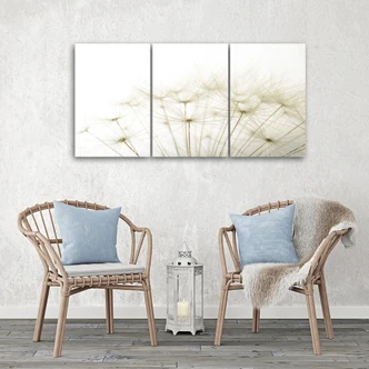 Impression sur toile en 3 parties, Fleurs soufflantes Nature 