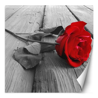 Fototapete, Rote Rose Blumen Holz Steg 