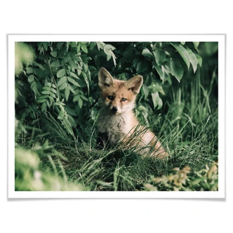 Poster Alone in the forest 