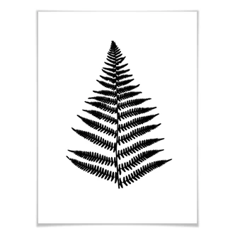 Poster Varen Poster Varen