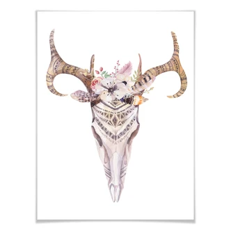 Poster Kvilis - Boko Skull 