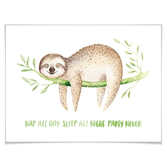 Poster Kvilis - Nap all day 