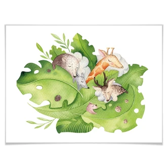 Poster Kvilis – Slapende Jungle 