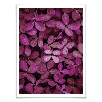 Poster Pink Leaves 