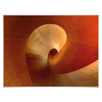Poster Shainidze - The Curve 