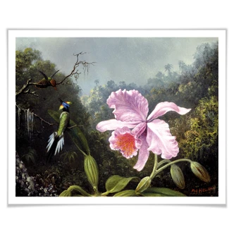 Poster Heade - Nature morte avec orchidée et colibri 