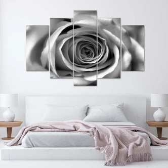 Leinwandbild 5 teilig, Rosenblüte Schwarz und Weiß 