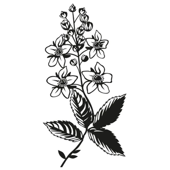 Wandtattoo Blütenzweig 1 