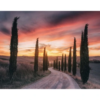 Wall Mural - Anton Tuscany - Sunset Wall Mural - Anton Tuscany - Sunset