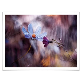 Poster Bravin - Rendezvous of Two Flowers Poster Bravin - Rendezvous of Two Flowers