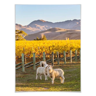 Poster Colombo - Mountain Sunset 