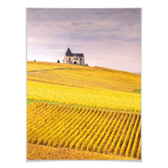 Poster Colombo - Vineyards 