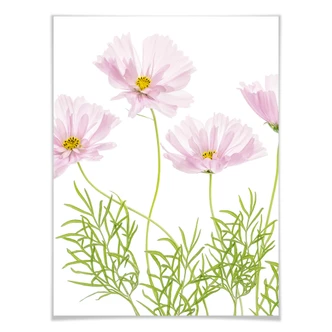 Plakat Disher - Letni kwiat 