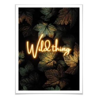 Plakat - Frederiksson - Wild Thing 