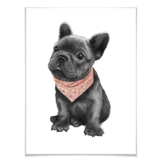 Poster Graves - Frenchie 