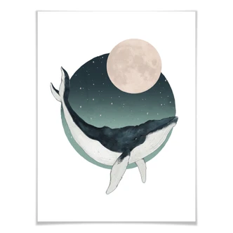 Poster Graves - Humpback 