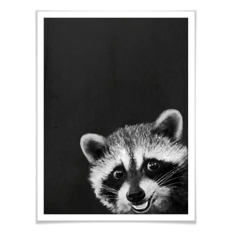 Poster Graves - Racoon 