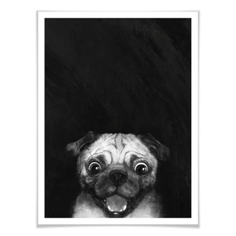 Poster Graves - Snuggle Pug 