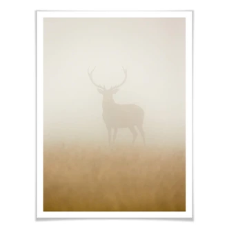Poster Harling - Hert in de Mist 