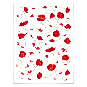 Poster Leffler - Vallmo 