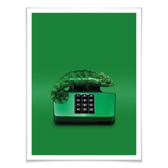 Poster Loose - Kamelephone 