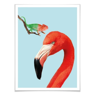 Poster Loose - Colorful Friends 